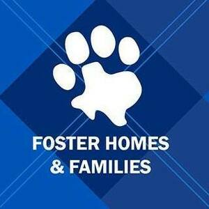 Houston SPCA Foster Families